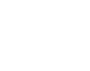 BNI Elite, Business Network International